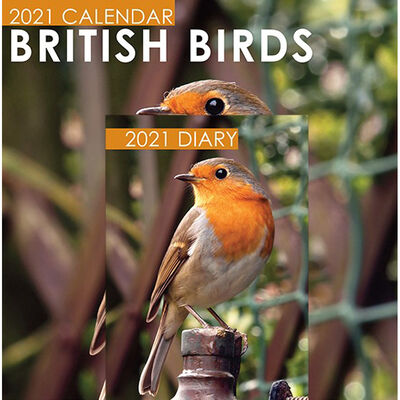 2021 CALENDAR BRITISH BIRDS .MONTH TO VIEW FREE P&P